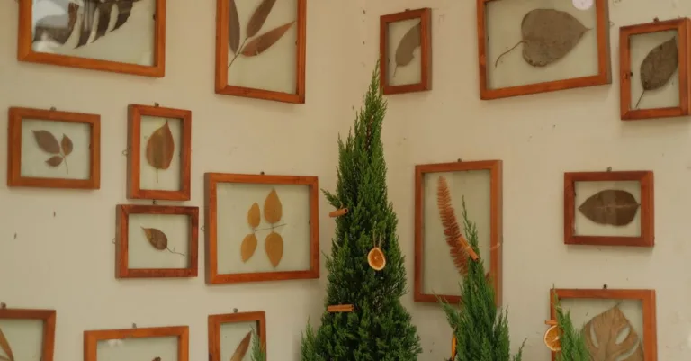 découvrez notre sélection de décorations murales élégantes et originales pour sublimer votre intérieur avec style et personnalité.