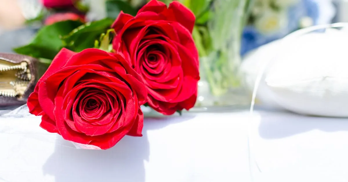 découvrez comment bouturer vos rosiers facilement avec nos conseils pratiques pour réussir vos boutures de roses et embellir votre jardin.