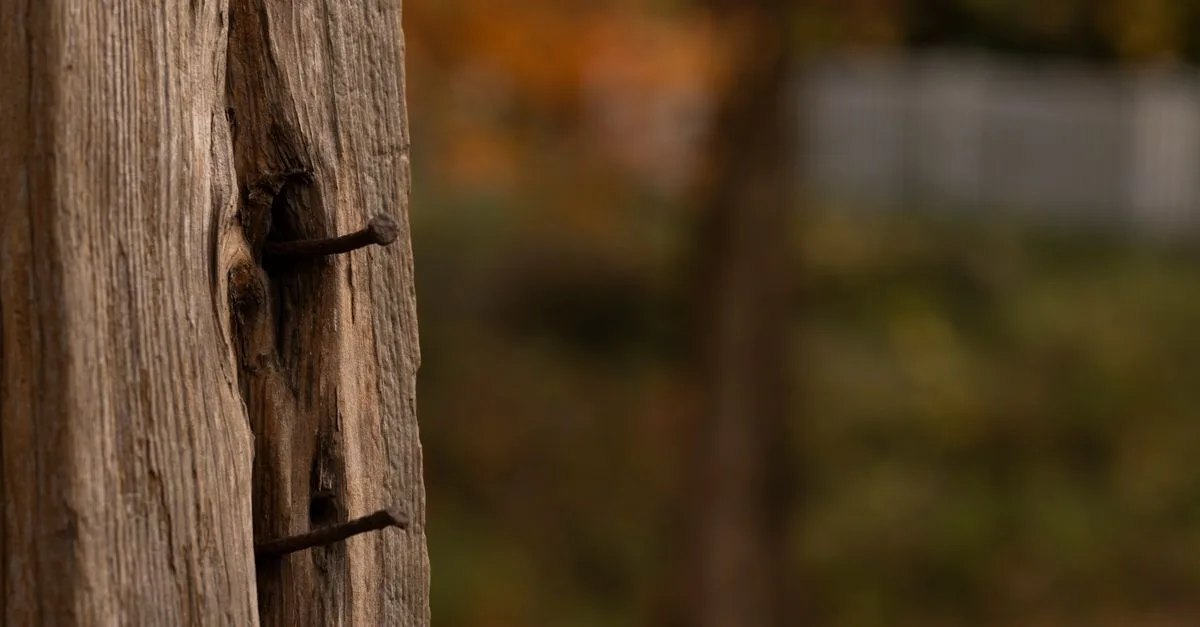 installation de poteaux de clôture en bois : guide complet pour poser solidement vos poteaux et sécuriser votre clôture avec des techniques fiables et durables.
